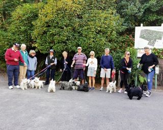 Dog walking