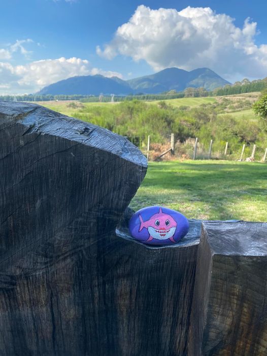 Taupo Rocks | Waipahihi Botanical Gardens